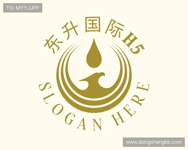 洞察东升国际h5